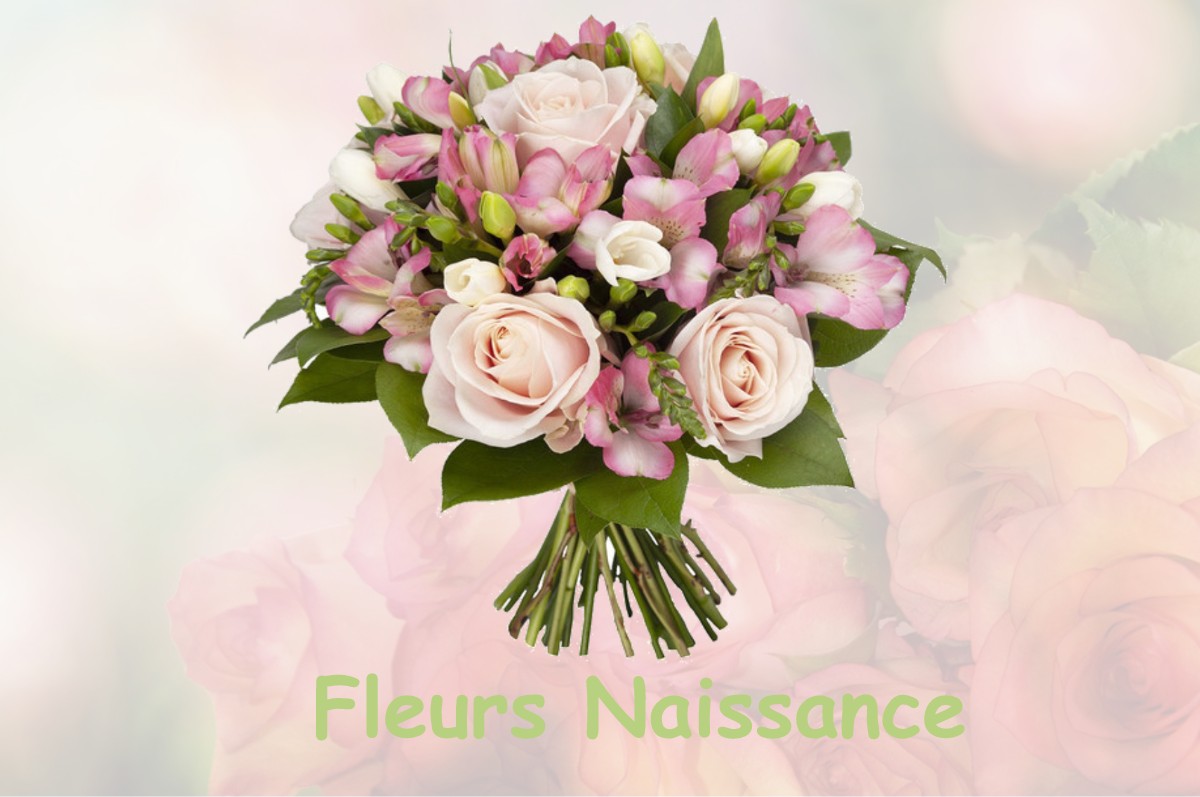 fleurs naissance SAINT-PIERRE-LES-NEMOURS